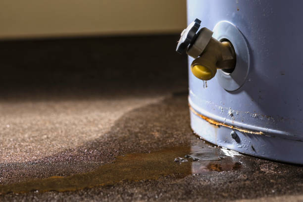 Best 24/7 water damage repair  in Northfield, IL