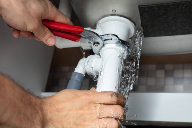 Best Water damage contractors near me  in Northfield, IL