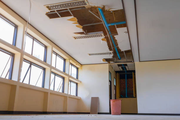 Best Mold removal after water damage  in Northfield, IL