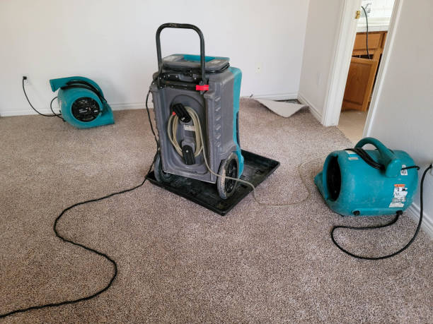  Northfield, IL Water damage restoration Pros