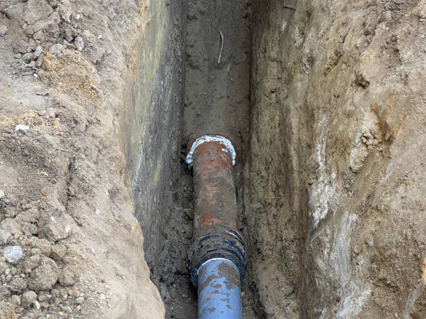 Best 24/7 water damage repair  in Northfield, IL