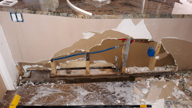 Best Water damage restoration near me  in Northfield, IL