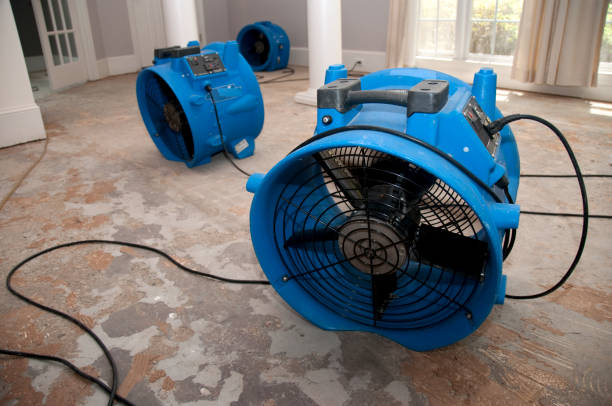 Best Flood restoration services  in Northfield, IL