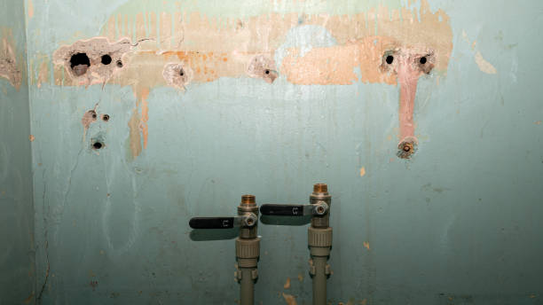 Best Local water damage restoration  in Northfield, IL