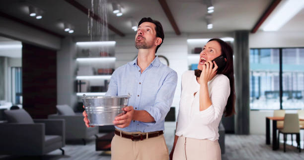 Best Emergency water damage restoration  in Northfield, IL