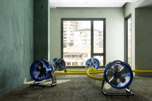 Best Ceiling water damage repair  in Northfield, IL